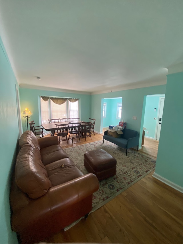 living room with hardwood / wood-style flooring