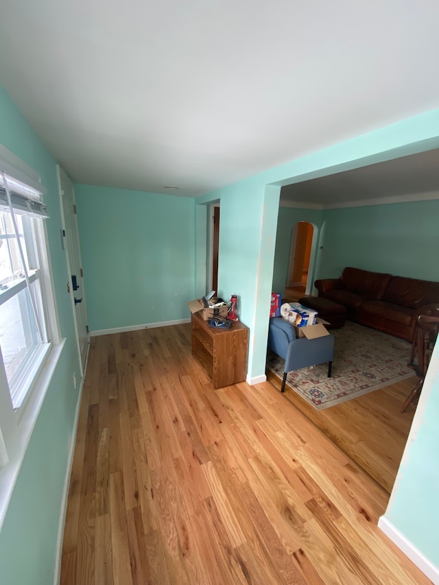 living room with light wood-type flooring