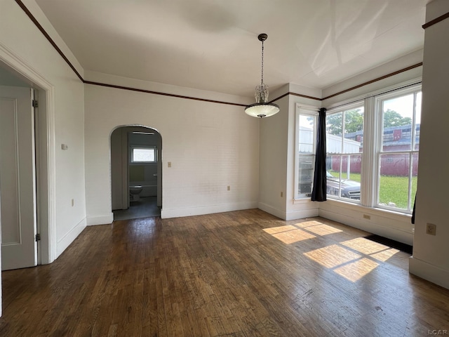 unfurnished room with dark hardwood / wood-style flooring and a healthy amount of sunlight