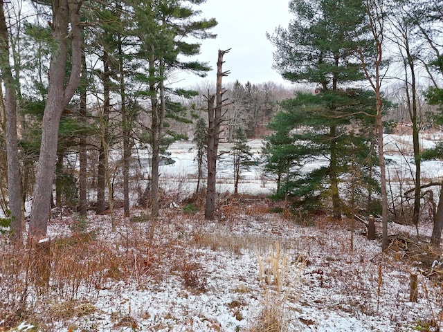 view of snow covered land