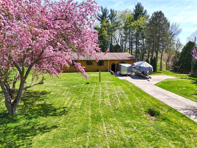 view of front of house with a front lawn and concrete driveway