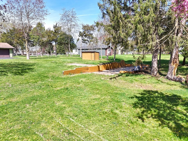 view of yard featuring an outdoor structure and a storage unit