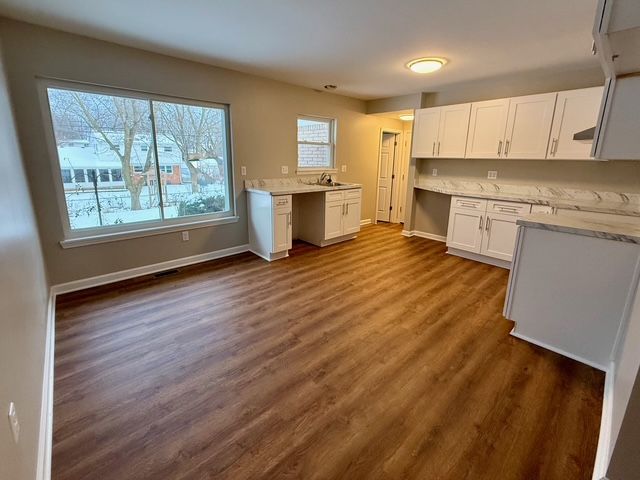 kitchen featuring light stone countertops, dark hardwood / wood-style flooring, white cabinetry, and sink