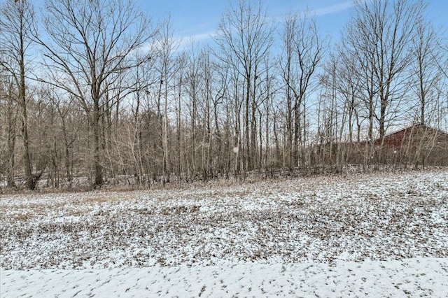 view of snow covered land