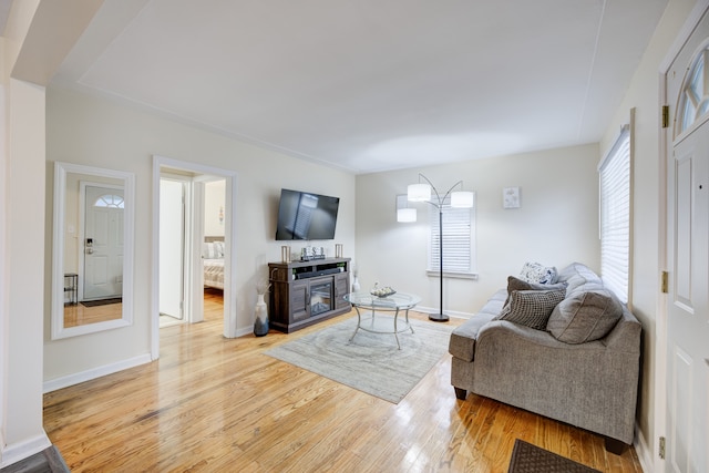 living room featuring a fireplace and light hardwood / wood-style flooring