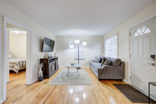 living room featuring light hardwood / wood-style flooring