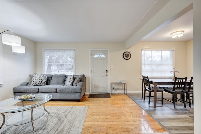 living room featuring hardwood / wood-style floors