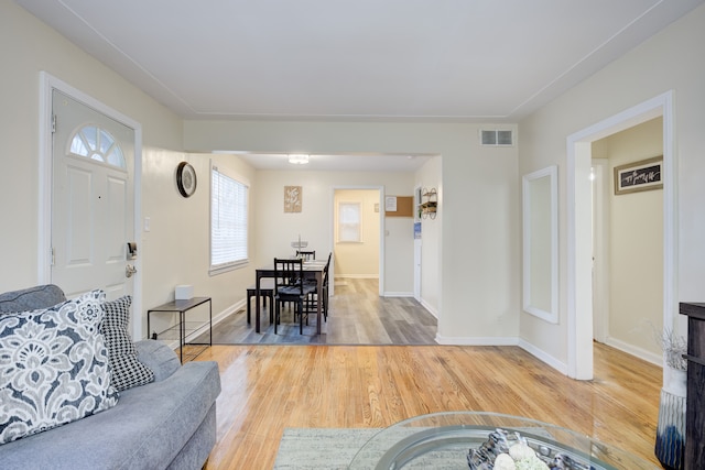 living room featuring wood-type flooring