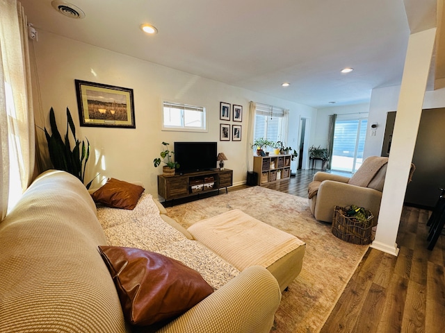 living room featuring hardwood / wood-style floors and a wealth of natural light