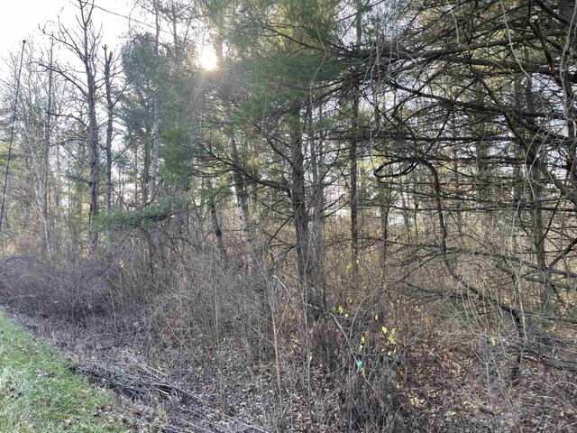 Plank Rd, Tawas City, MI 48763 - photo 1