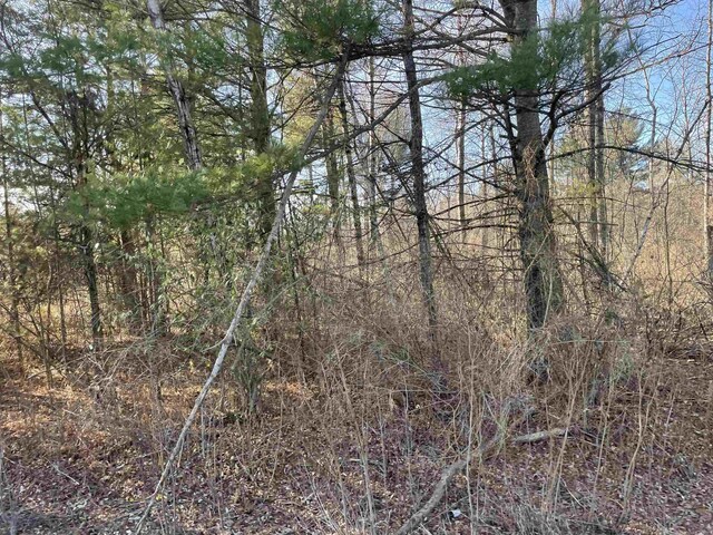 Plank Rd, Tawas City, MI 48763 - photo 3