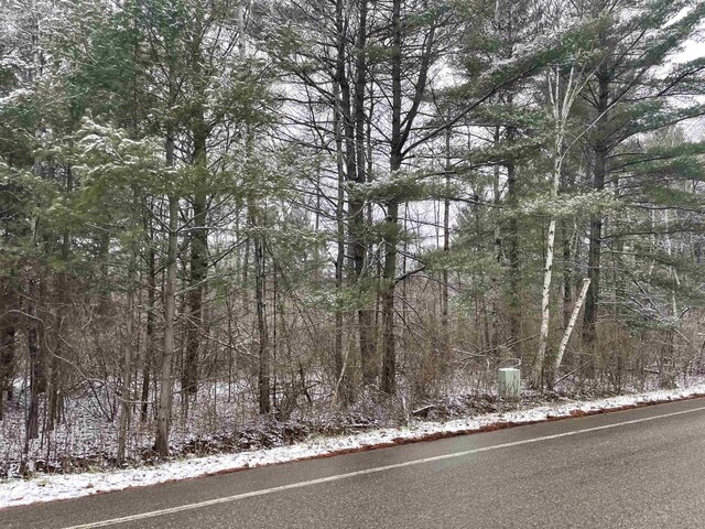 Plank Rd, Tawas City, MI 48763 - photo 4