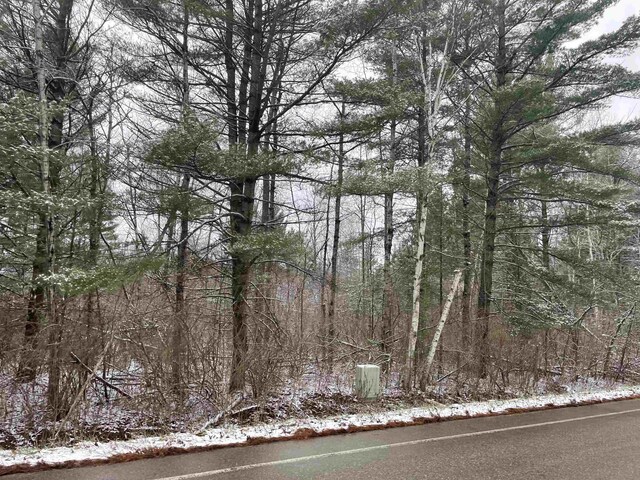 Plank Rd, Tawas City, MI 48763 - photo 5