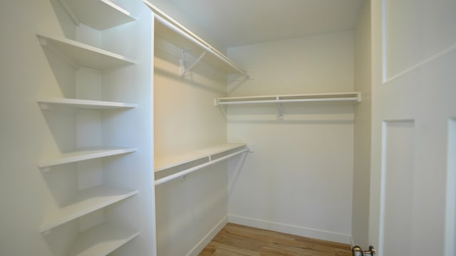 walk in closet with light wood-type flooring