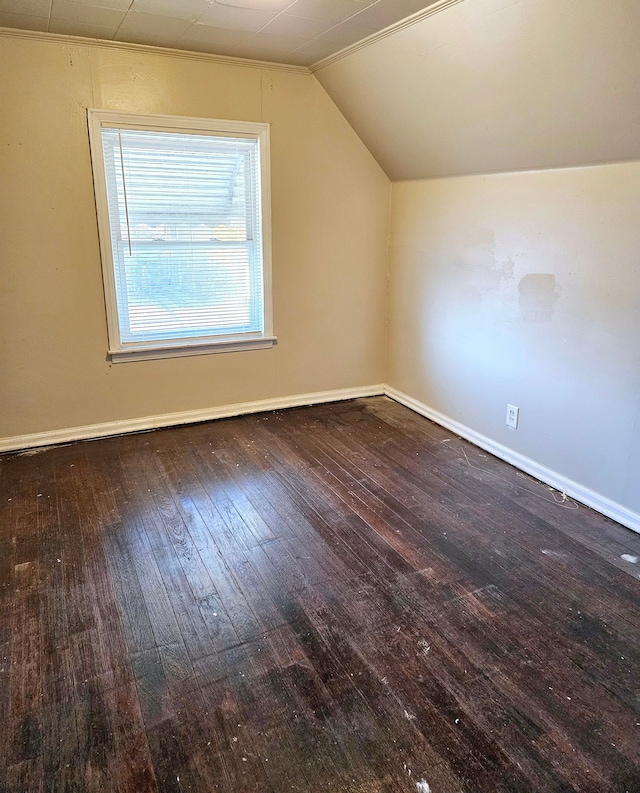 additional living space featuring dark hardwood / wood-style floors and lofted ceiling