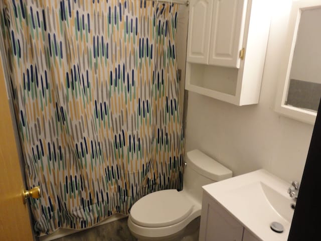 bathroom featuring vanity, curtained shower, and toilet