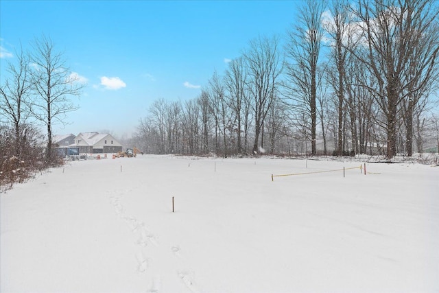 view of snowy yard