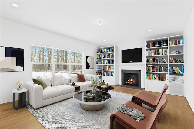 living room featuring light wood-type flooring