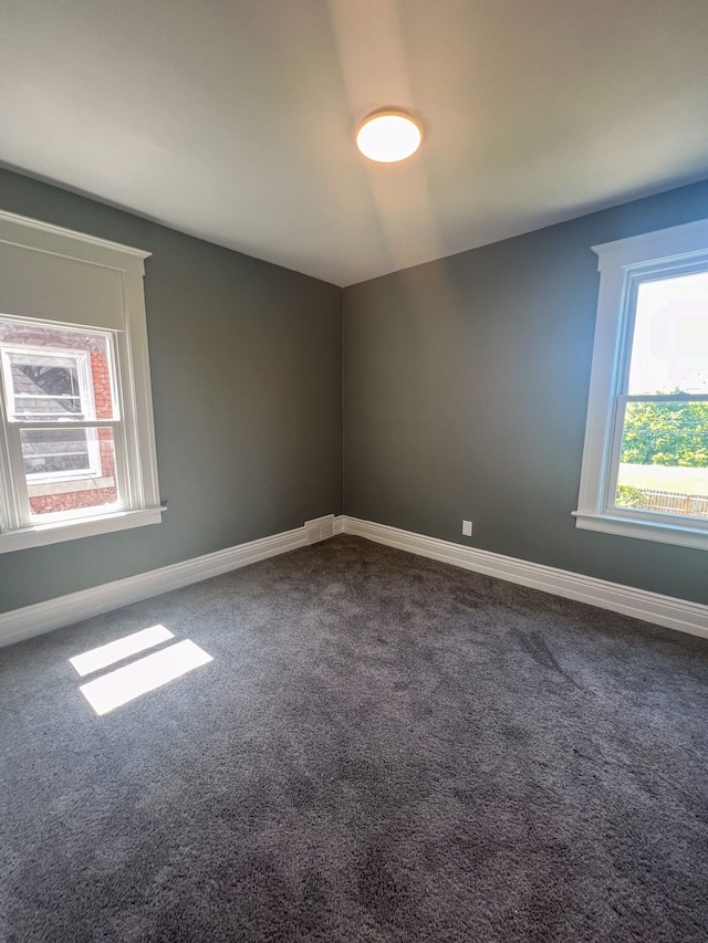 spare room with carpet floors