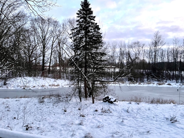 view of snowy view