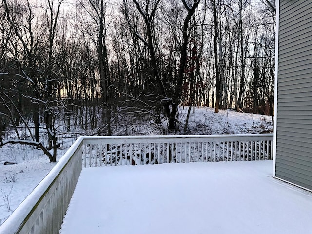 view of yard layered in snow