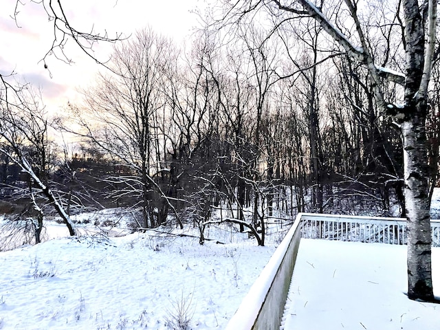 view of yard layered in snow