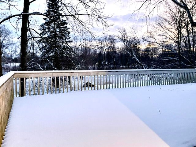 view of yard covered in snow