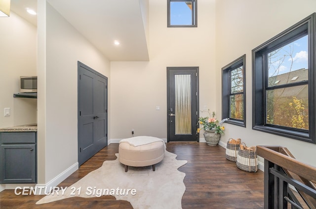 sitting room featuring dark hardwood / wood-style flooring and a healthy amount of sunlight