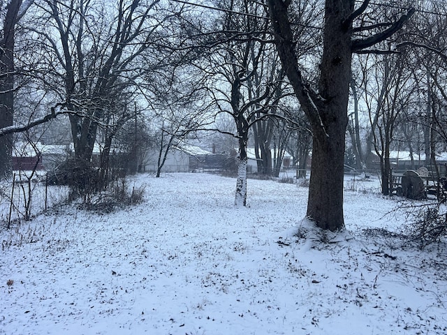 view of yard covered in snow