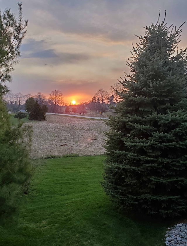 view of yard at dusk