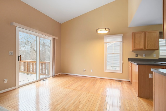 kitchen featuring decorative light fixtures, a healthy amount of sunlight, and light hardwood / wood-style floors