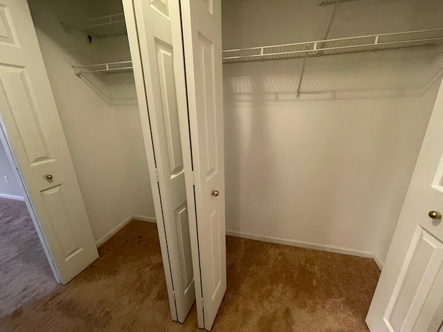 view of closet