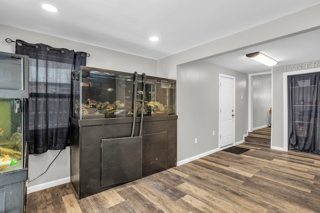 interior space with dark hardwood / wood-style floors