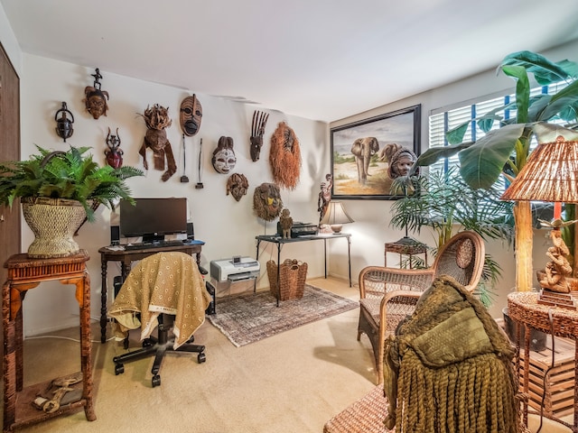 living area featuring carpet flooring