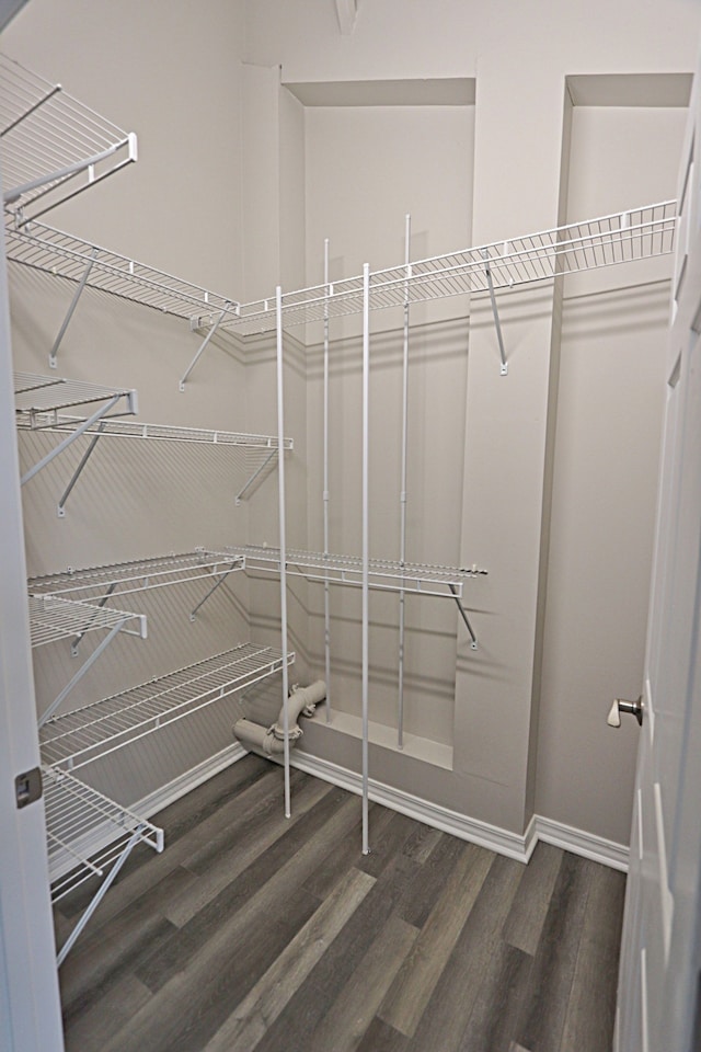 spacious closet featuring dark hardwood / wood-style flooring