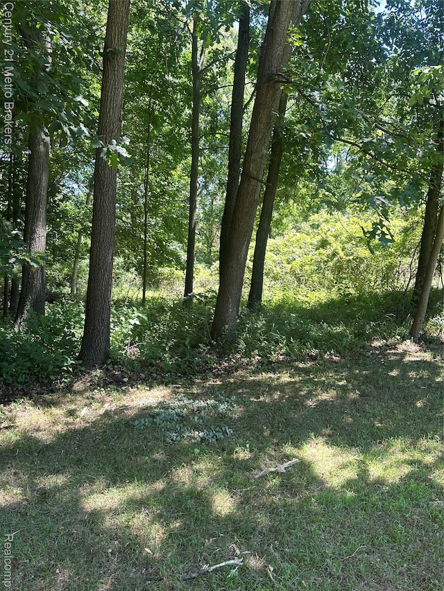 00 White Lake Rd, Fenton, MI 48430 - photo 5