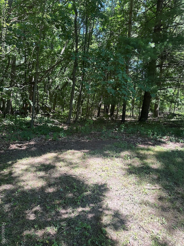 00 White Lake Rd, Fenton, MI 48430 - photo 4