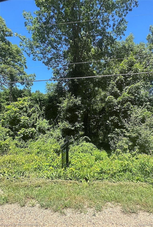 00 White Lake Rd, Fenton, MI 48430 - photo 1