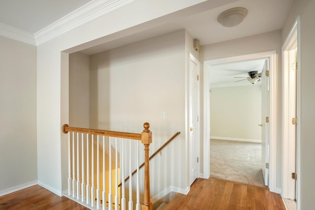 hall featuring ornamental molding and wood-type flooring