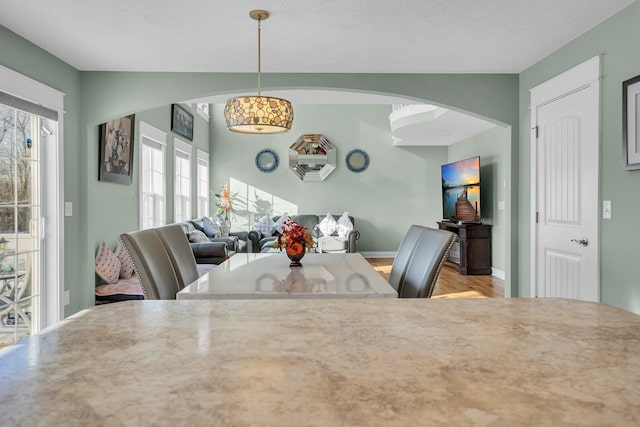 dining area featuring light hardwood / wood-style floors and a healthy amount of sunlight