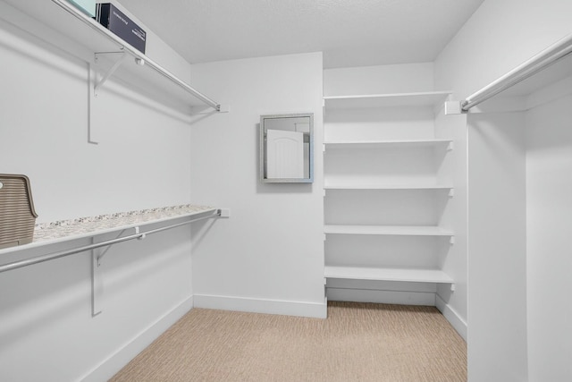 spacious closet with light colored carpet