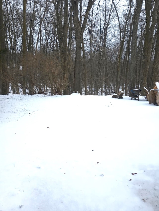 view of yard layered in snow