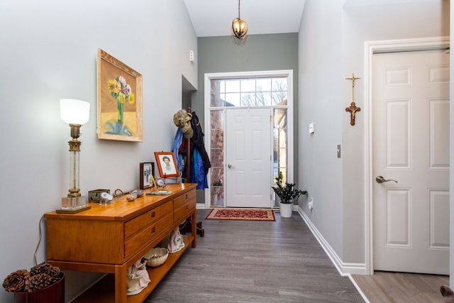 foyer featuring wood-type flooring