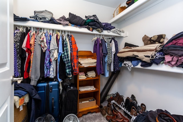 spacious closet with carpet floors