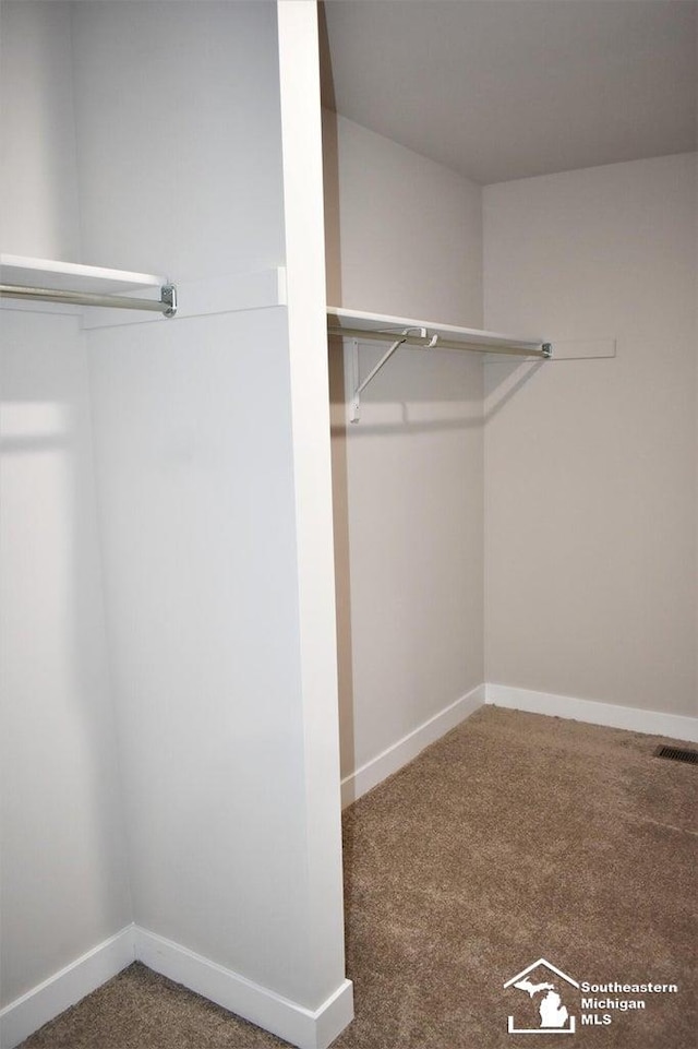 walk in closet with carpet floors