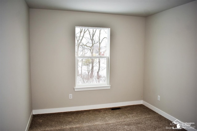 spare room featuring carpet floors and a wealth of natural light