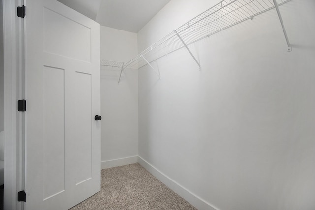 walk in closet featuring light colored carpet