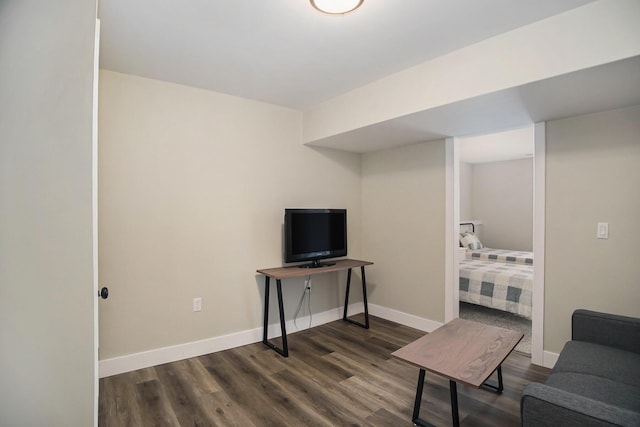 living room with dark wood-type flooring