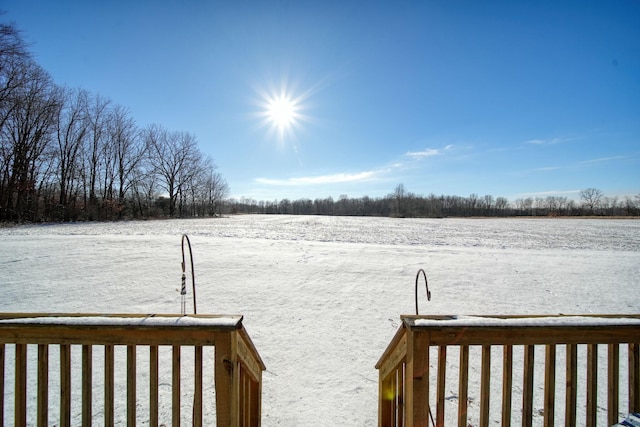 view of snowy yard