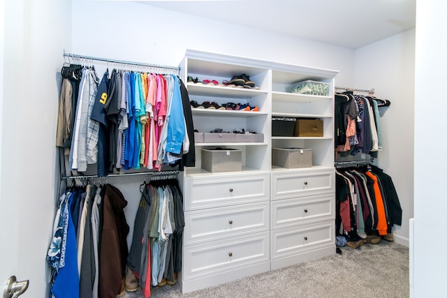 walk in closet with light colored carpet